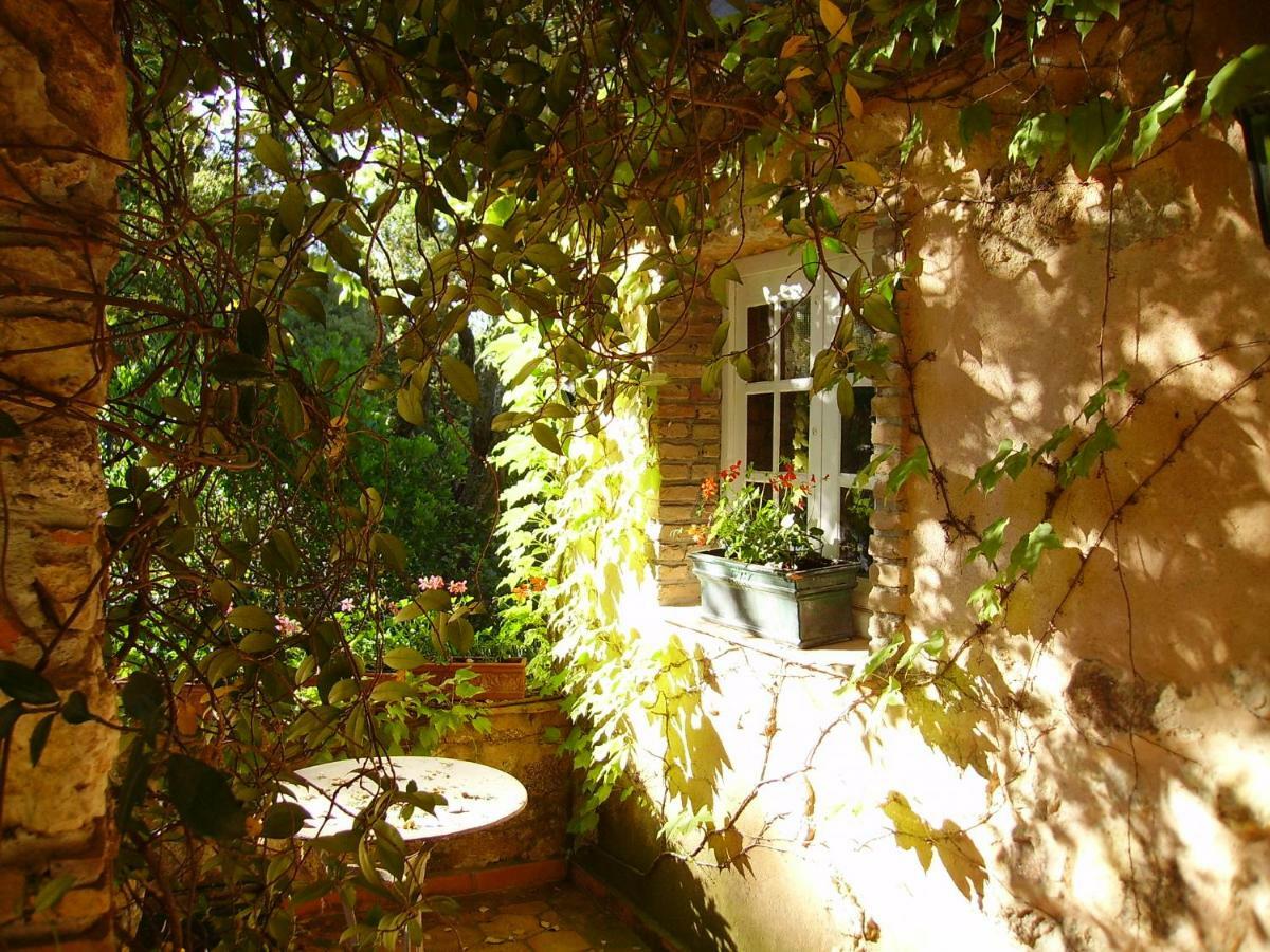 Le Bastidon Saint-Michel Bed & Breakfast Сен Максим Екстериор снимка