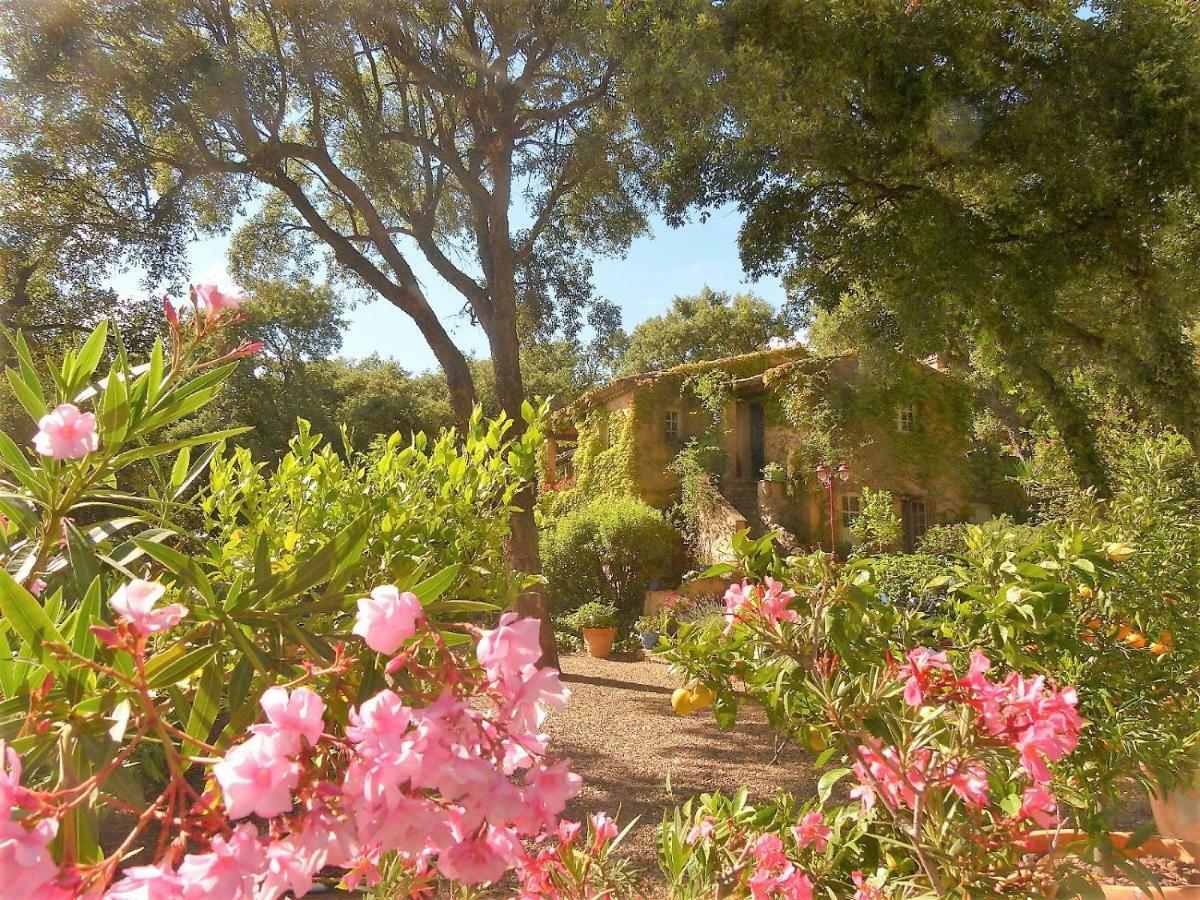Le Bastidon Saint-Michel Bed & Breakfast Сен Максим Екстериор снимка