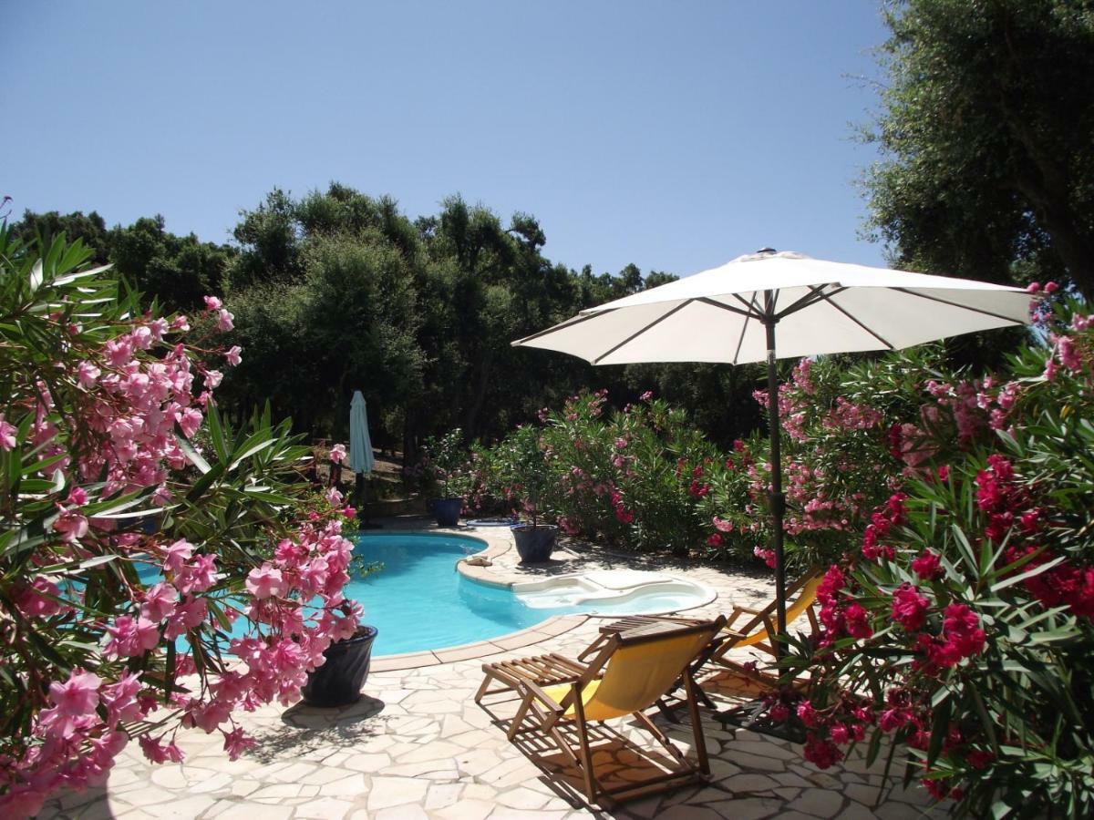 Le Bastidon Saint-Michel Bed & Breakfast Сен Максим Екстериор снимка
